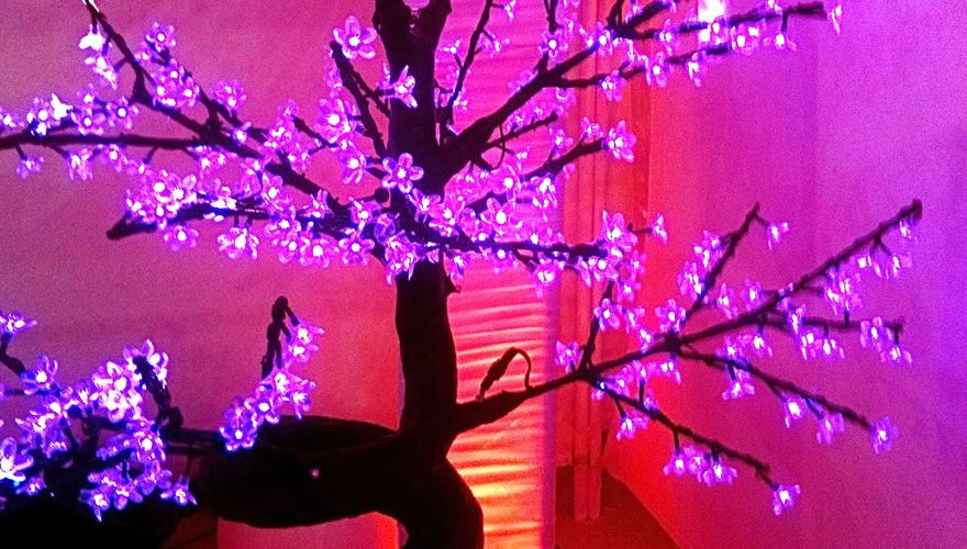 bonsai-led-lumineux-rose-880x500